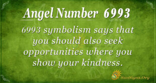 6993 angel number