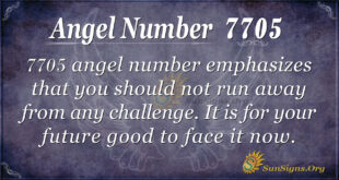 7705 angel number