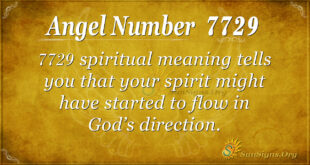 7729 angel number