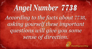 7738 angel number