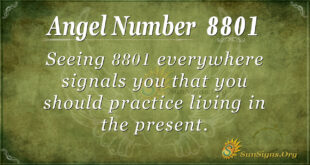 8801 angel number