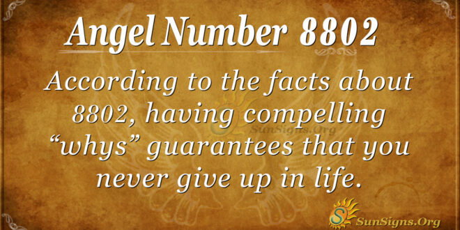 8802 angel number