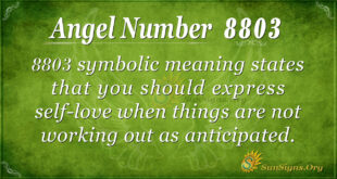 8803 angel number