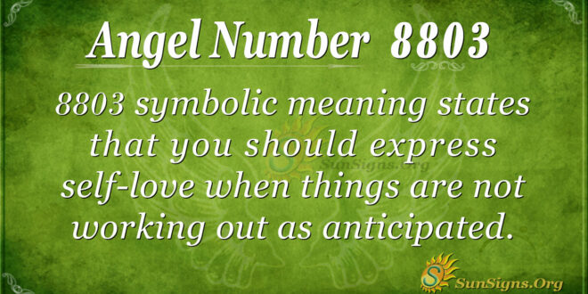 8803 angel number