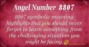 8807 angel number