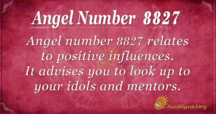 8827 angel number