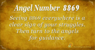 8869 angel number