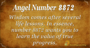 8872 angel number