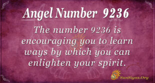 9236 angel number