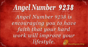 9238 angel number