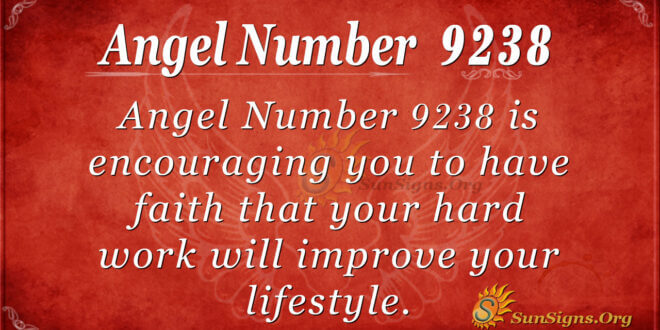 9238 angel number