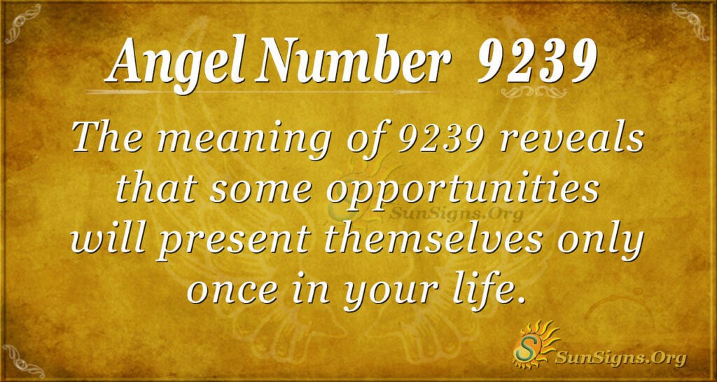 9239 angel number