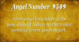 9509 angel number