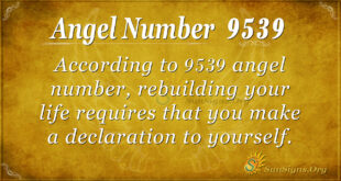 9539 angel number