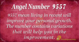 9557 angel number