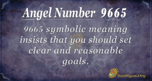 9665 angel number