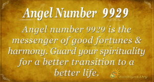 Angel number 9929
