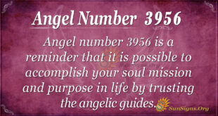 Angel Number 3956