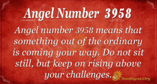 3958 angel number