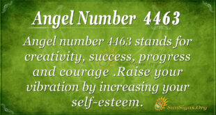 4463 angel number