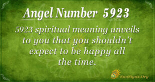 5923 angel number