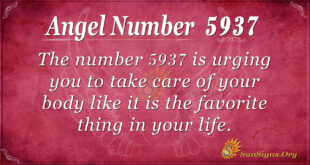 5937 angel number