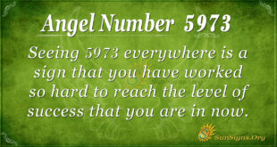 5973 angel number