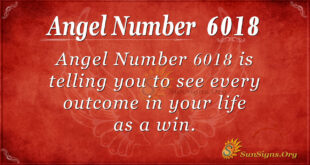 6018 angel number
