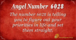 6028 angel number