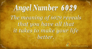 6029 angel number
