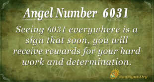 6031 angel number