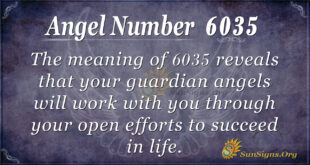 6035 angel number