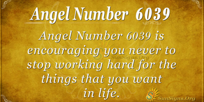 6039 angel number