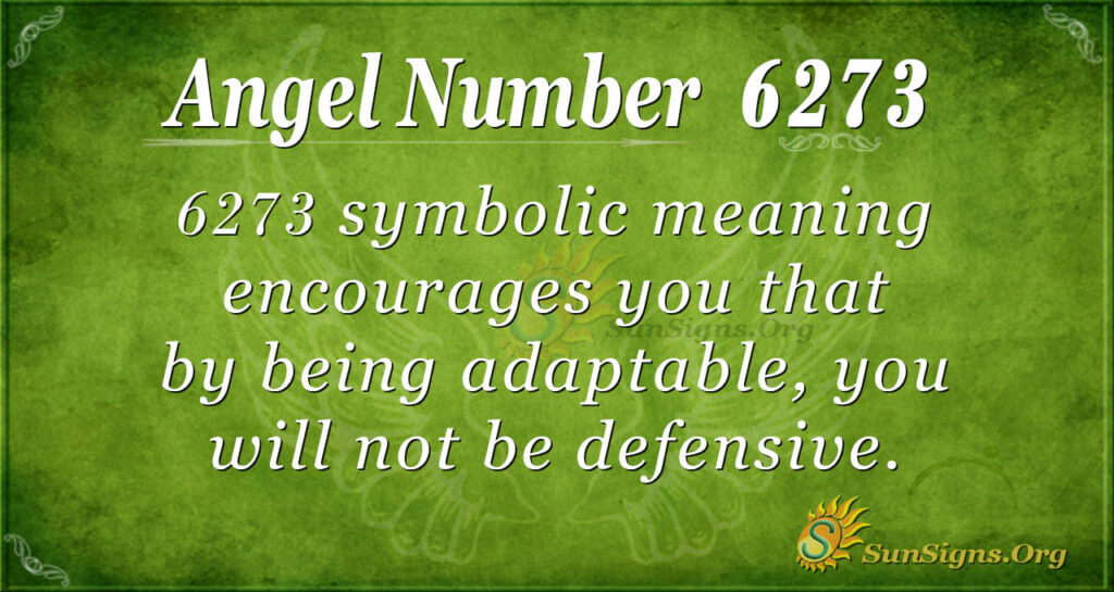 6273 angel number