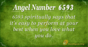 6593 angel number