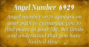 6929 angel number