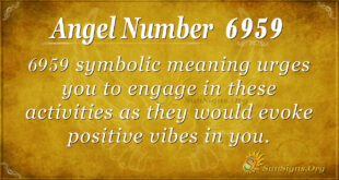 6959 angel number
