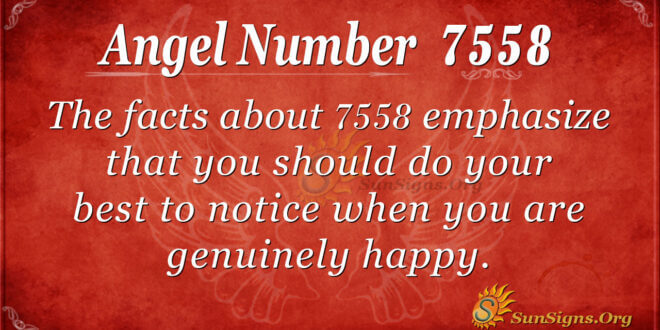 angel number 7558