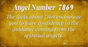 7869 angel number