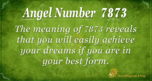7873 angel number