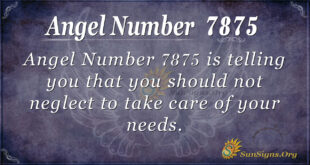 7875 angel number
