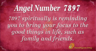 7897 angel number