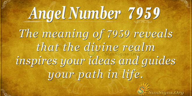 7959 angel number