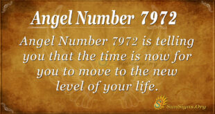 7972 angel number