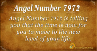 7972 angel number
