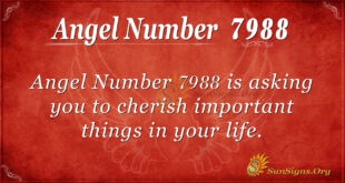 7988 angel number