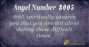 8005 angel number