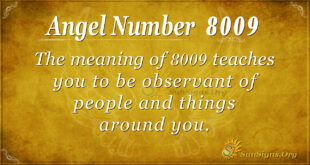 8009 angel number