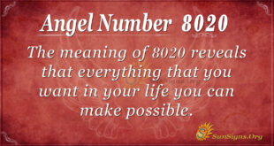 8020 angel number