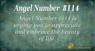 8114 angel number